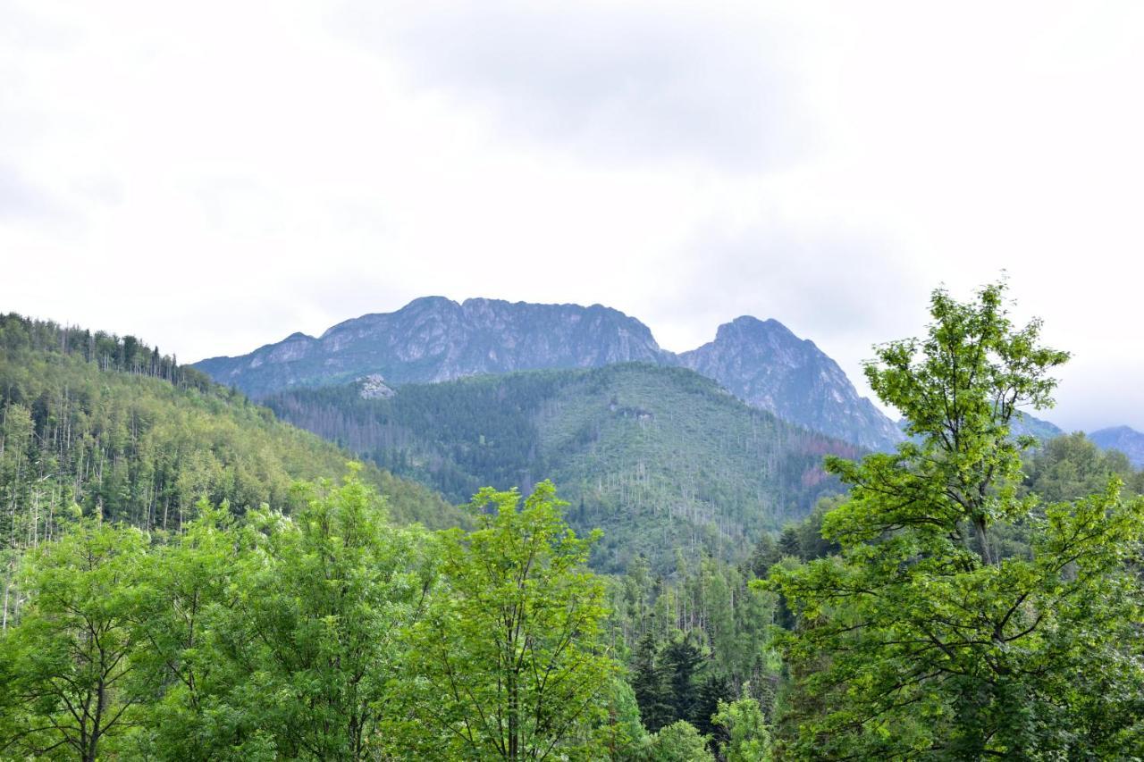 Willa Halka Zakopane Dış mekan fotoğraf