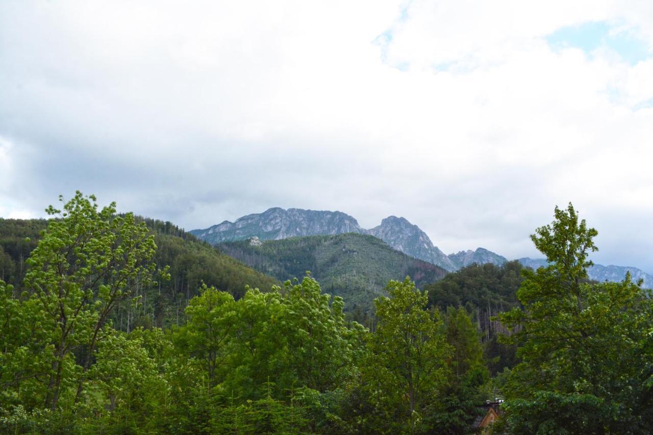 Willa Halka Zakopane Dış mekan fotoğraf