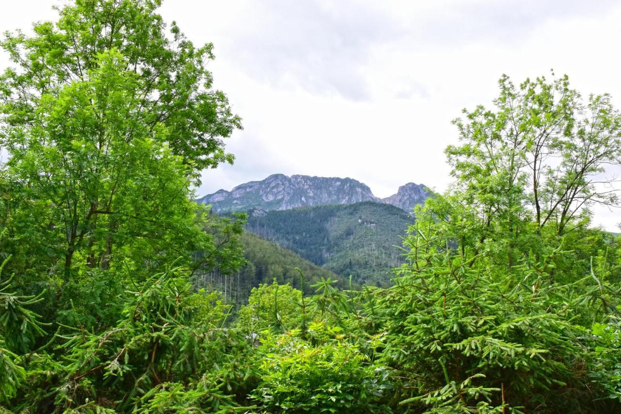 Willa Halka Bed & Breakfast Zakopane Dış mekan fotoğraf