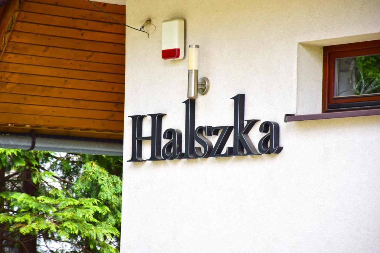 Willa Halka Zakopane Dış mekan fotoğraf